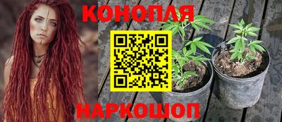 индика Волжск