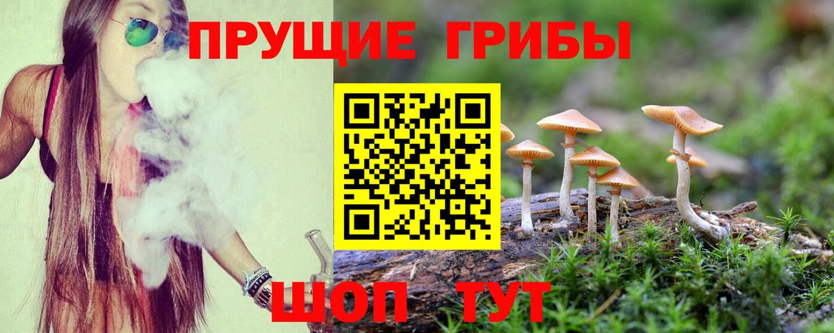 Галлюциногенные грибы прущие грибы Киржач
