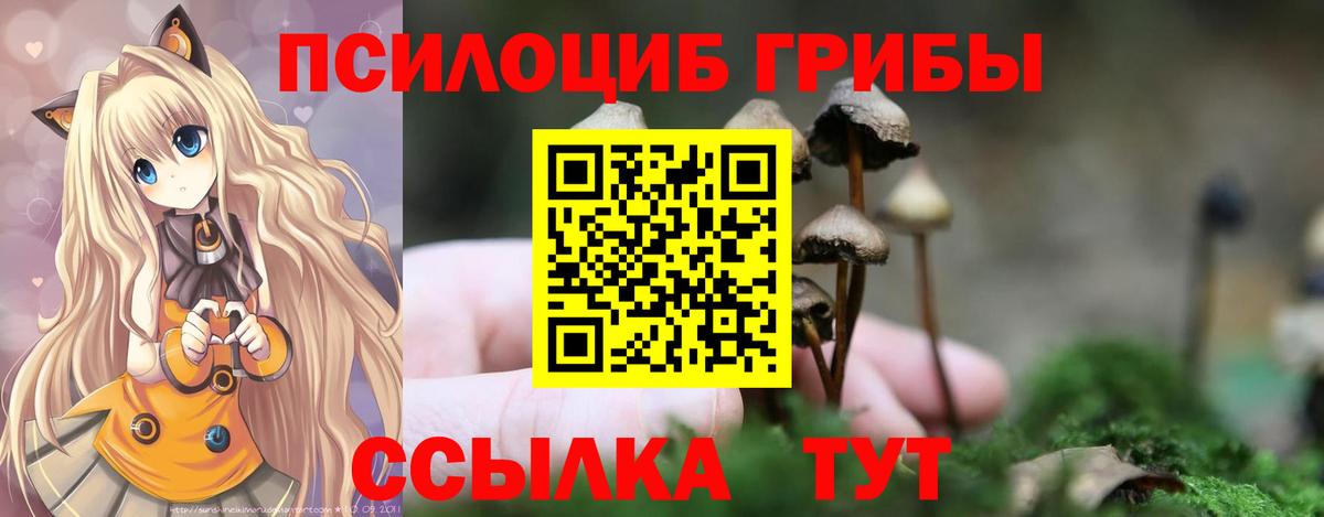 Киржач  Галлюциногенные грибы прущие грибы  Галлюциногенные грибы MAGIC MUSHROOMS  Вход с VPN 